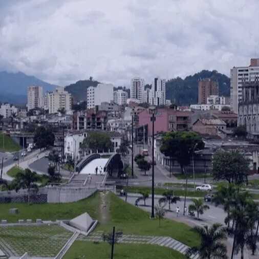 Pereira